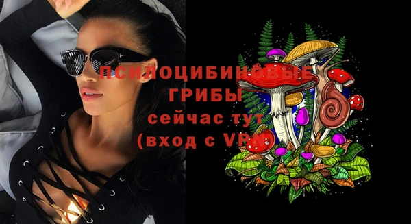стафф Ладушкин