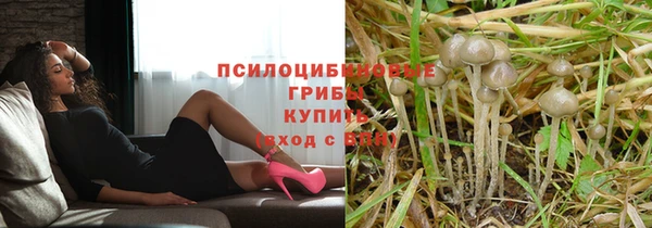 стафф Ладушкин