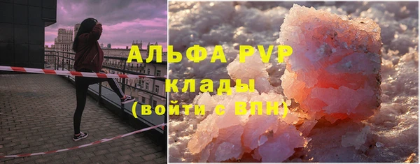 стафф Ладушкин