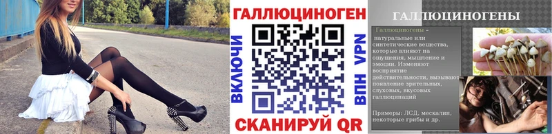 Купить где  Серпухов  Псилоцибиновые грибы GOLDEN TEACHER 